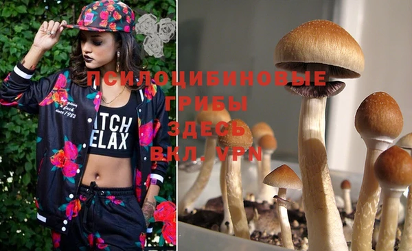 марки lsd Волосово