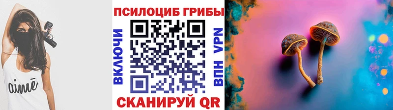 Галлюциногенные грибы Psilocybine cubensis  Купить где  Кумертау 